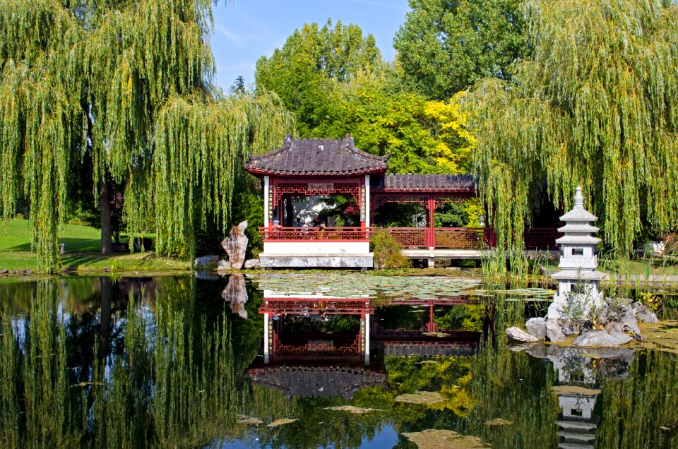 Berlin marzahner garden reflection in water