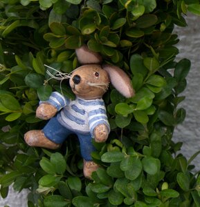 Easter bunny hare easter