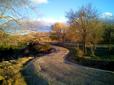 Nature trees trail
