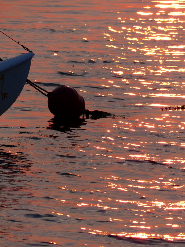 Evening sea sunset