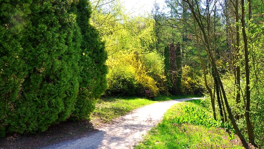 Nature strolling sunshine