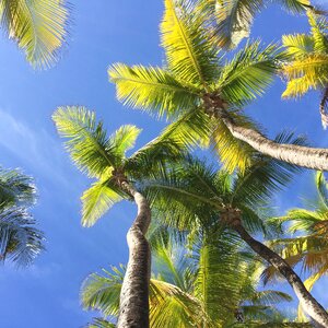 Beach nature tropical