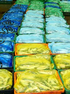 Fish plastic packing