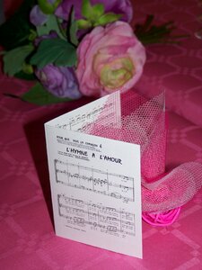 Partition wedding love