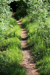 The path nature finnish