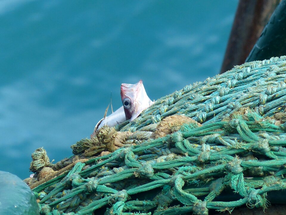Net fishing trawler