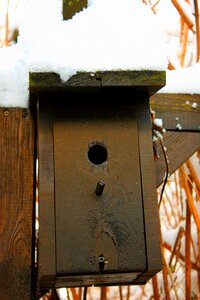 Cold bird shelter photo