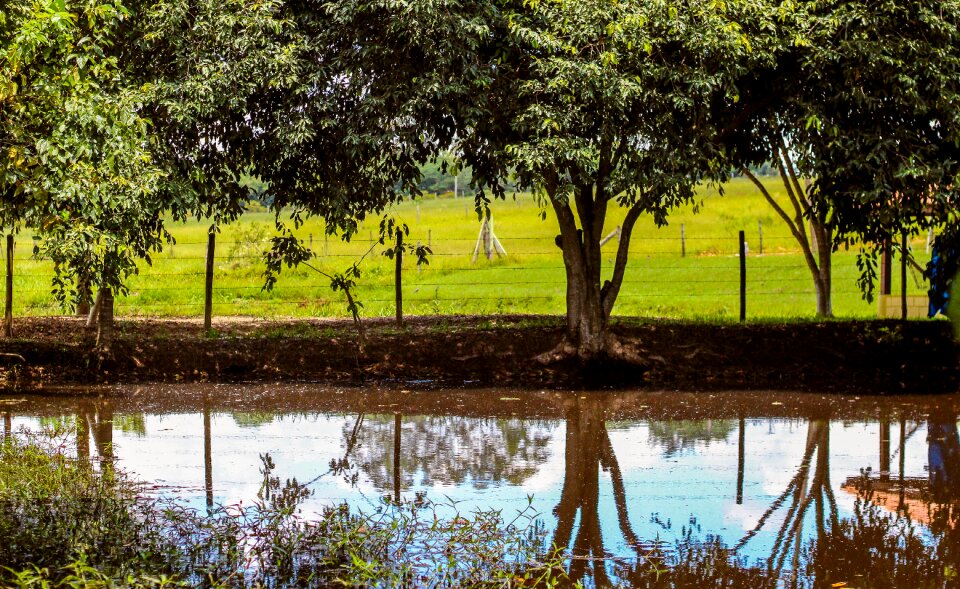 Poetry landscape inspiration