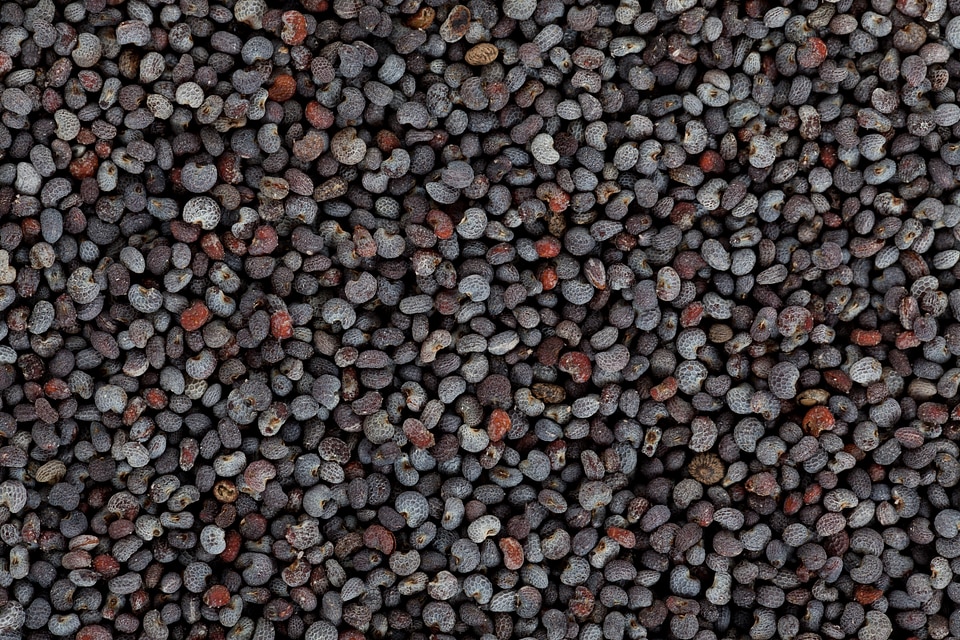 Food grains ingredient