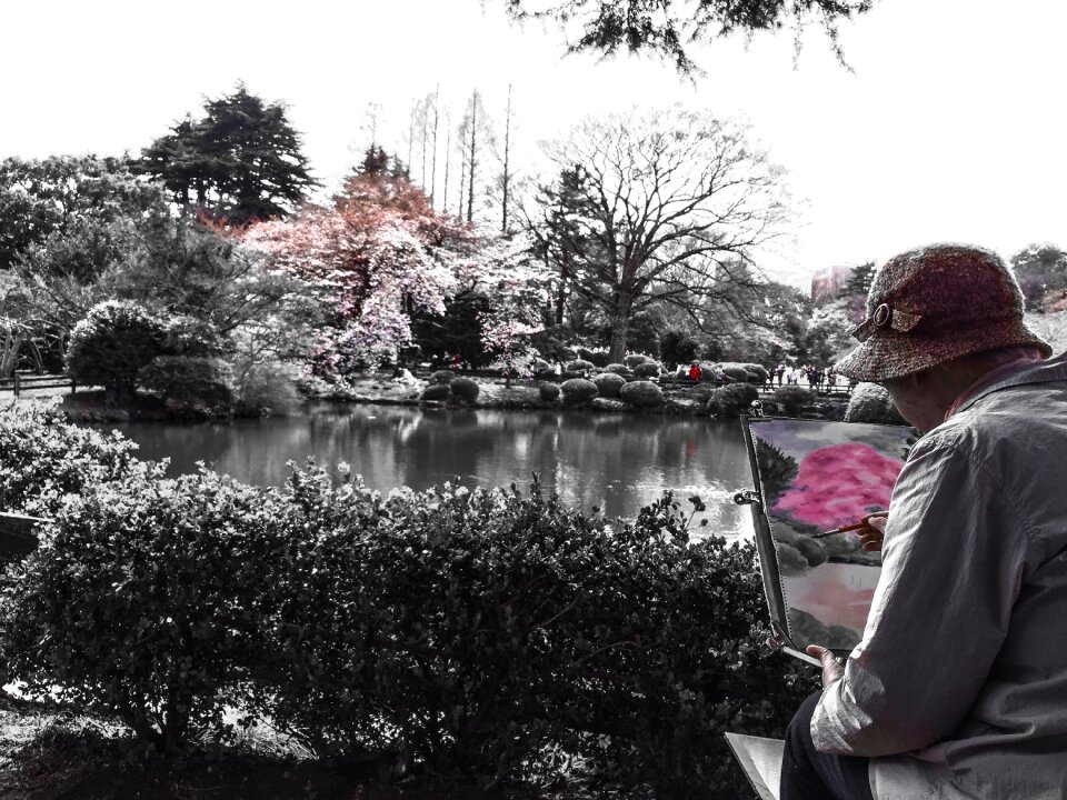 Blossom flower outdoor