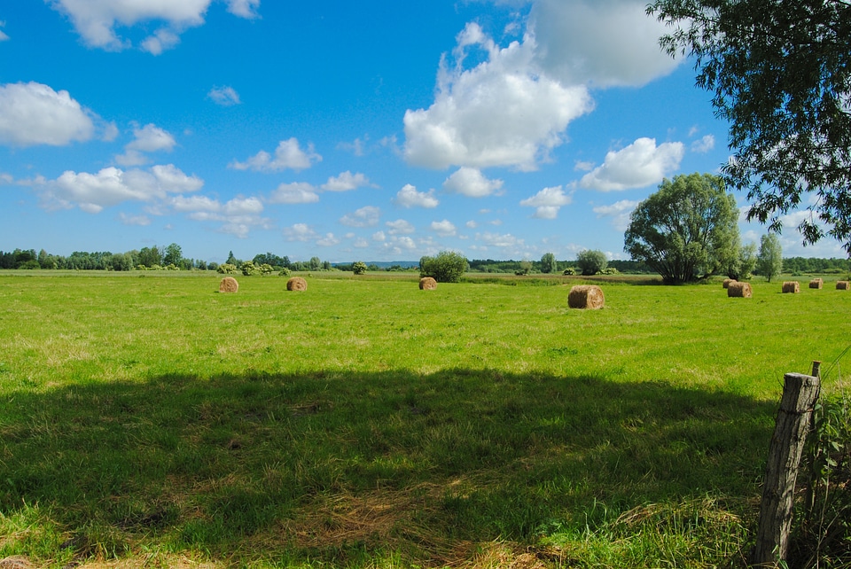 Field clouds landscape