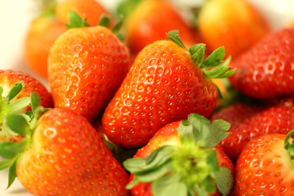 Berry red summer