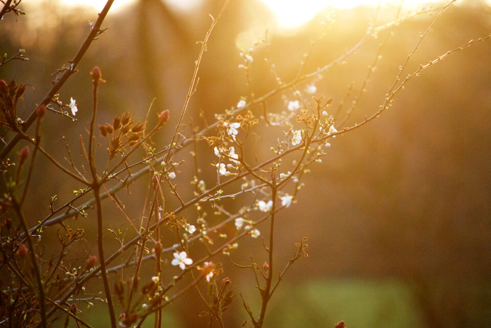 Evening sky sunbeam romance