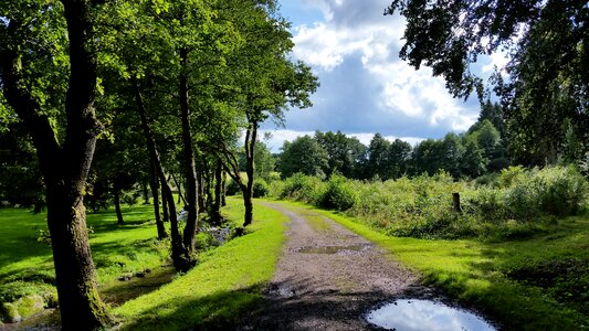 Green landscape clouds photo