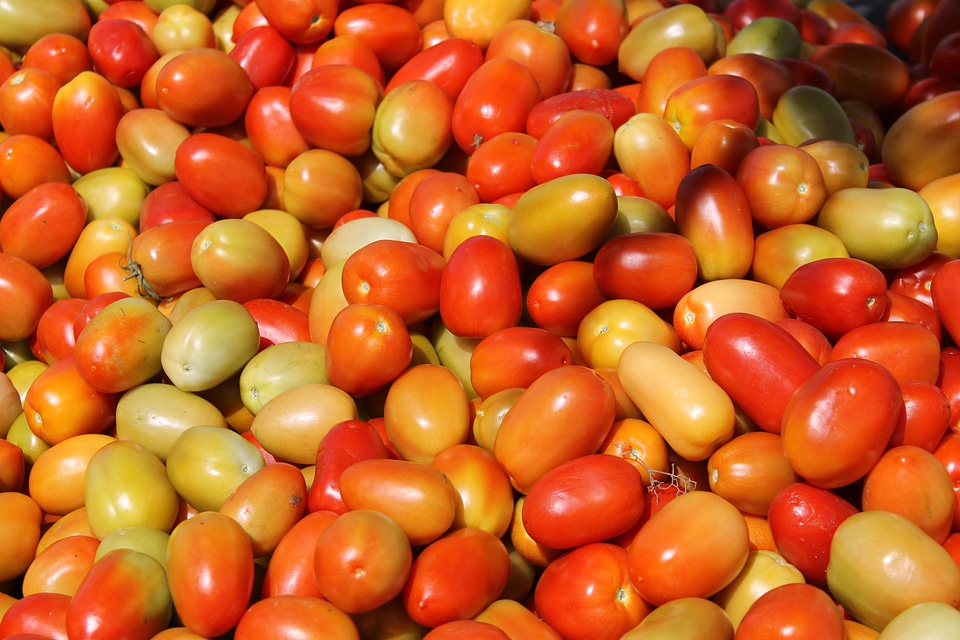 Tomato vegetables fruit