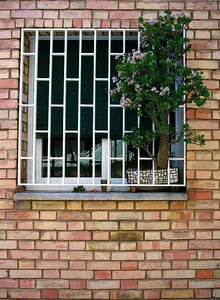 Window jade plant brick photo