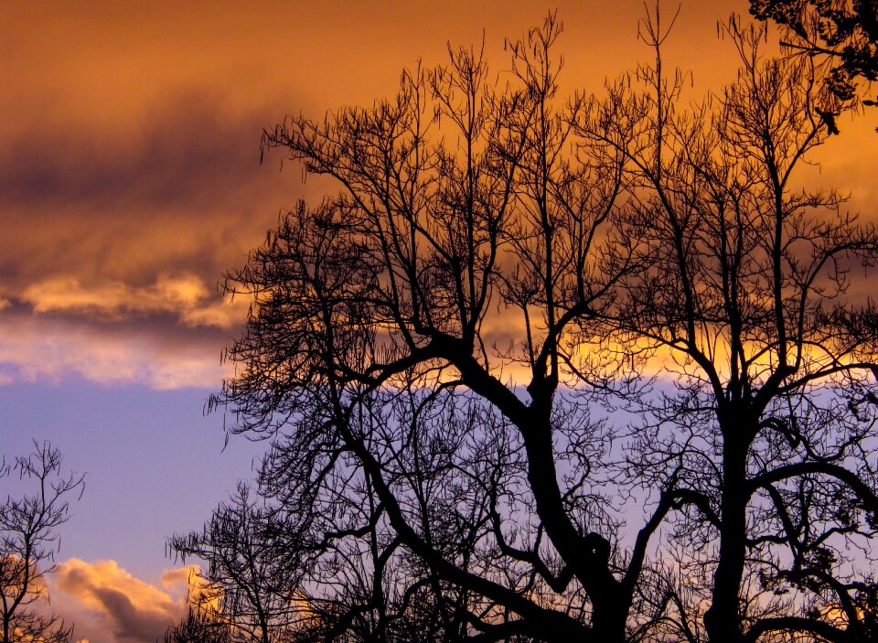 Sunset evening nature