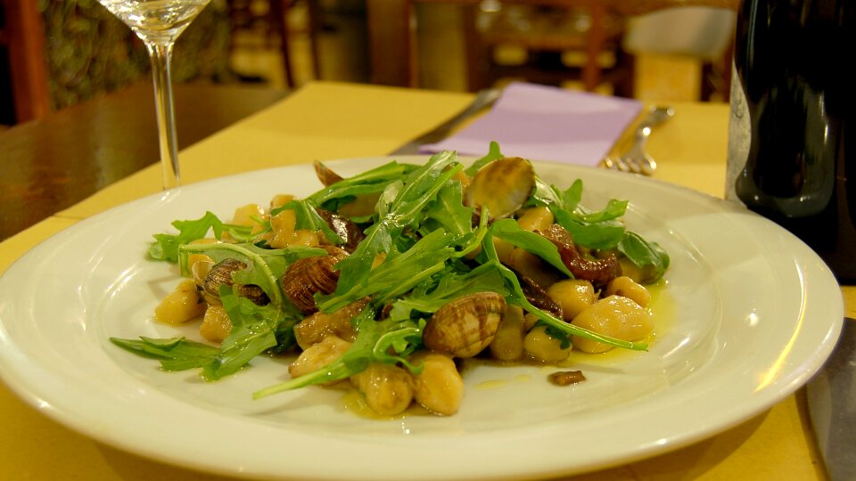 Gastronomy foods clams
