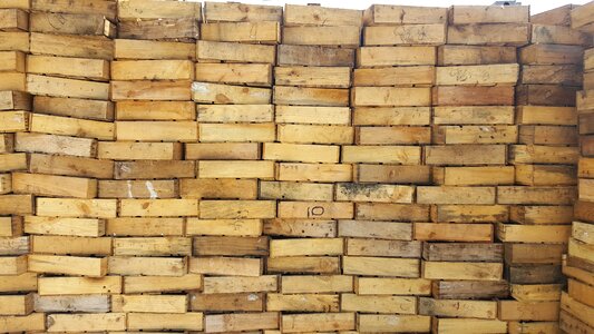 Texture wood rectangle