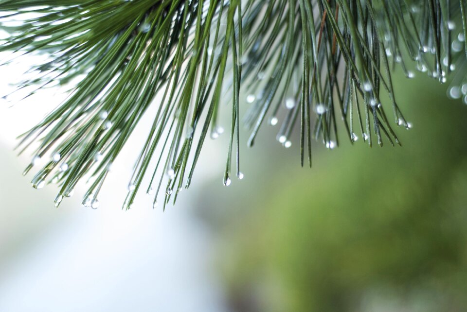 Drip run off droplets