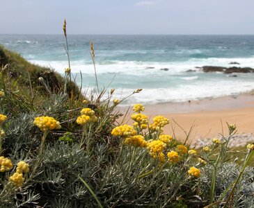Beach sand yellow