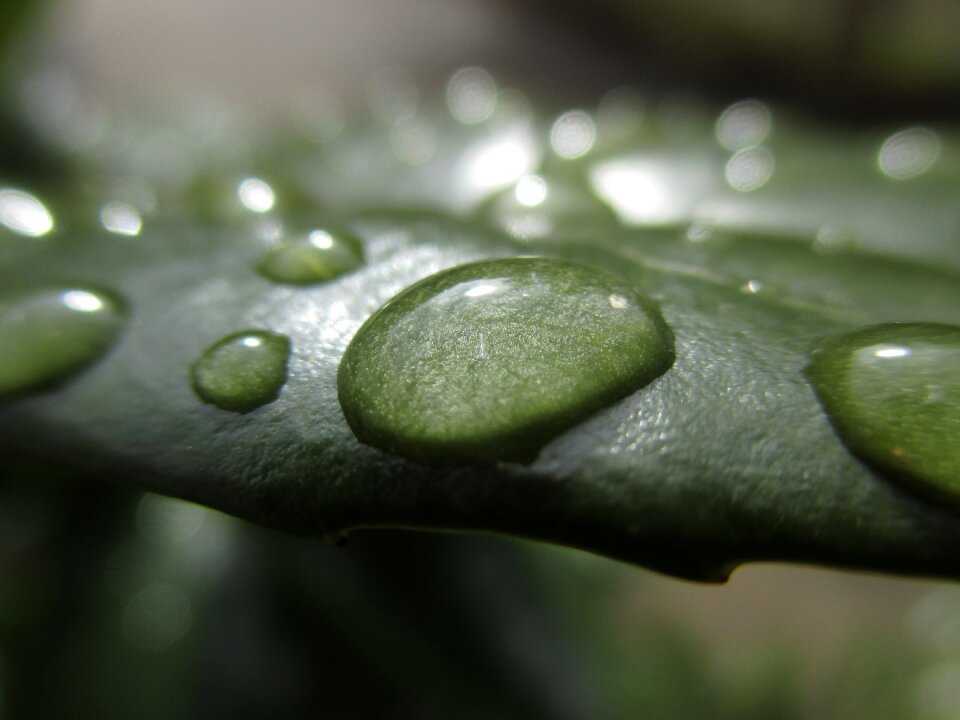 Drop water freshness