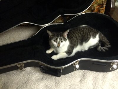 Case guitar black