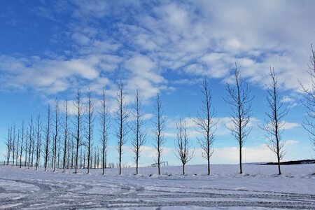 Sky snow winter