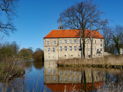 Moat beech mirroring photo