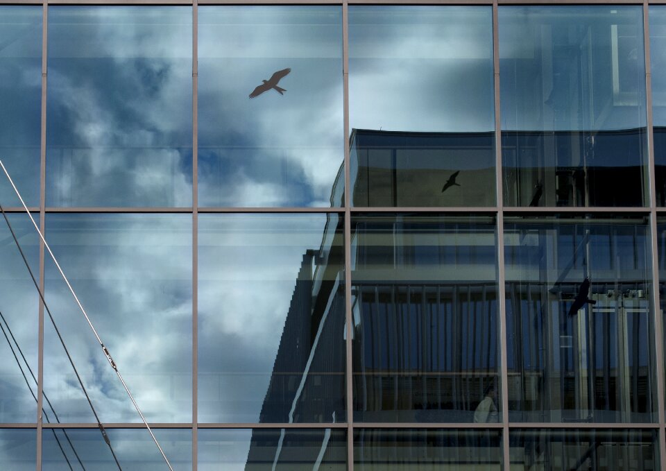 Glass gray building