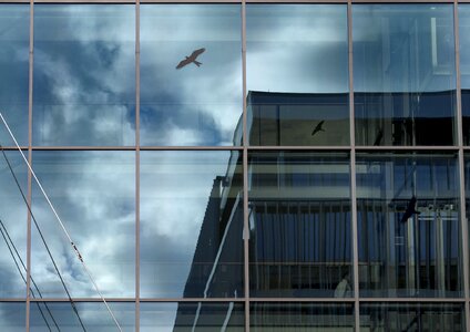 Glass gray building