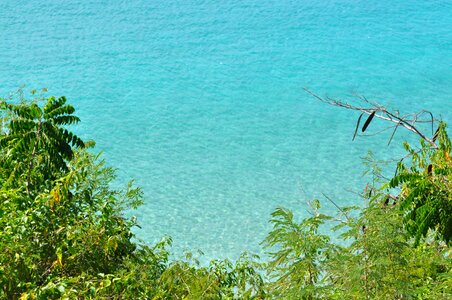 Puerto rico palms sea photo