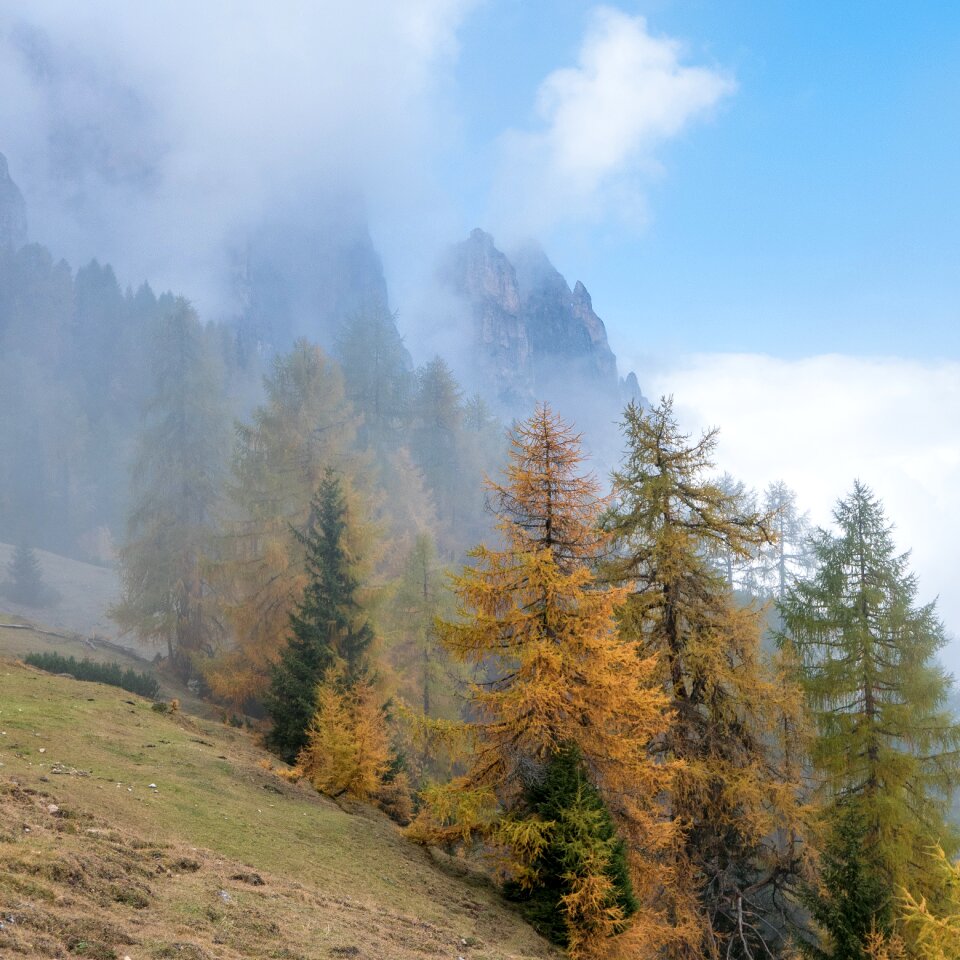 Golden autumn mountains fog