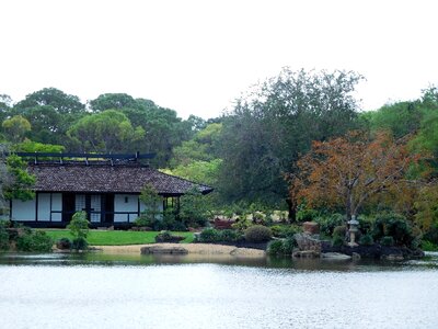 Japanese garden park photo