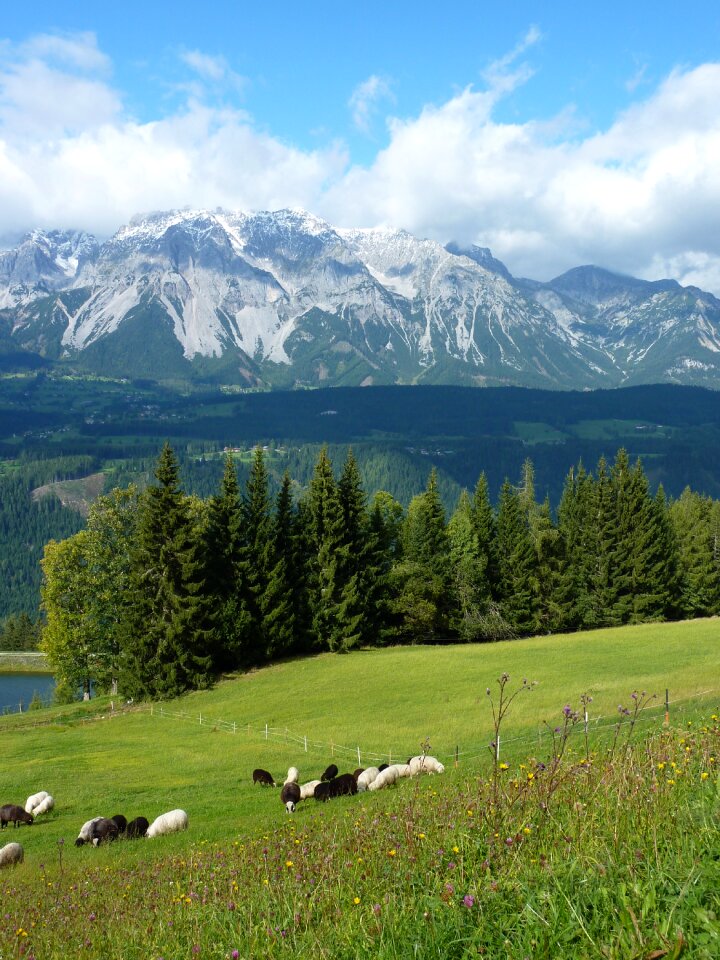 Alm panorama mountains