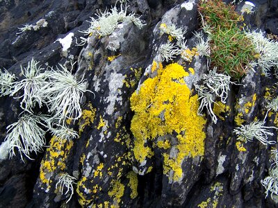 Rock nature cliff