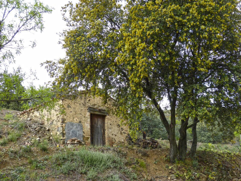 Bucolic rural stone building