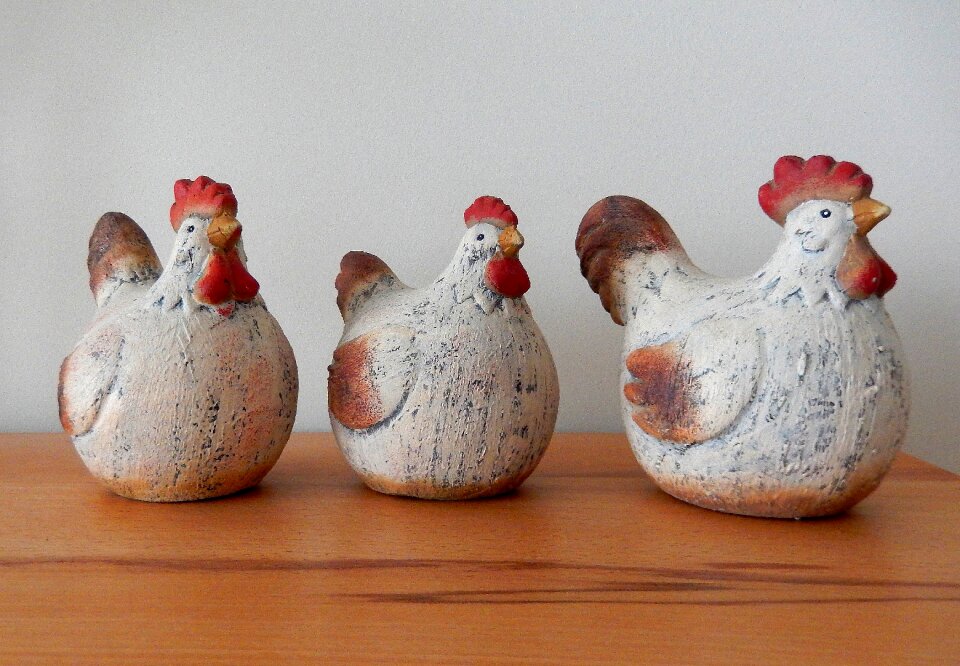 Decoration bird poultry
