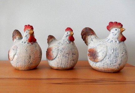 Decoration bird poultry