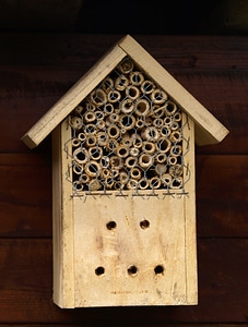 Insect house insect box insect protection measures