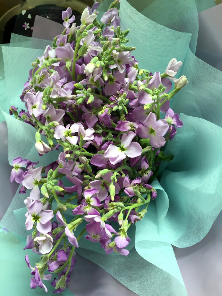 Graduation congratulations purple flowers