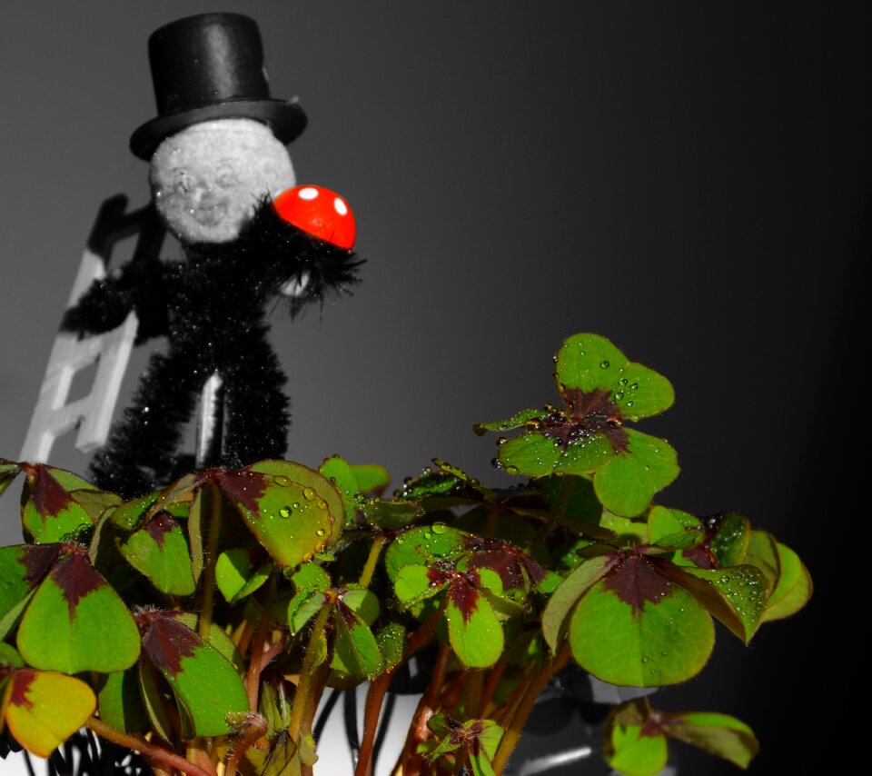 Luck turn of the year sylvester