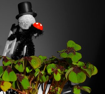 Luck turn of the year sylvester
