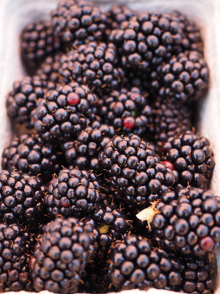 Fruit black delicious