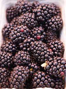 Fruit black delicious