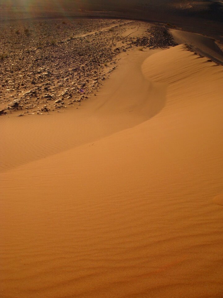 Desert dry photo