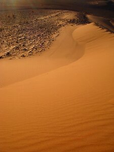 Desert dry photo
