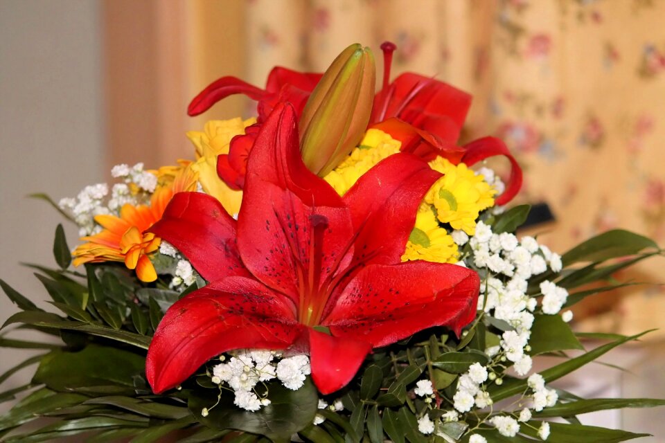 Bright flower petals