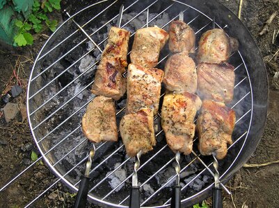 Shish kebab mangal vacation