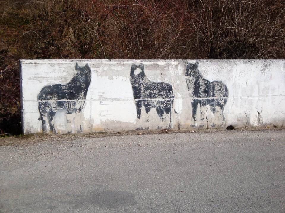 Wall drawing draffiti